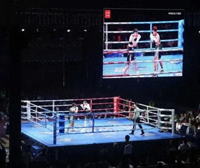 场面火爆！拳击观众席沸腾不已