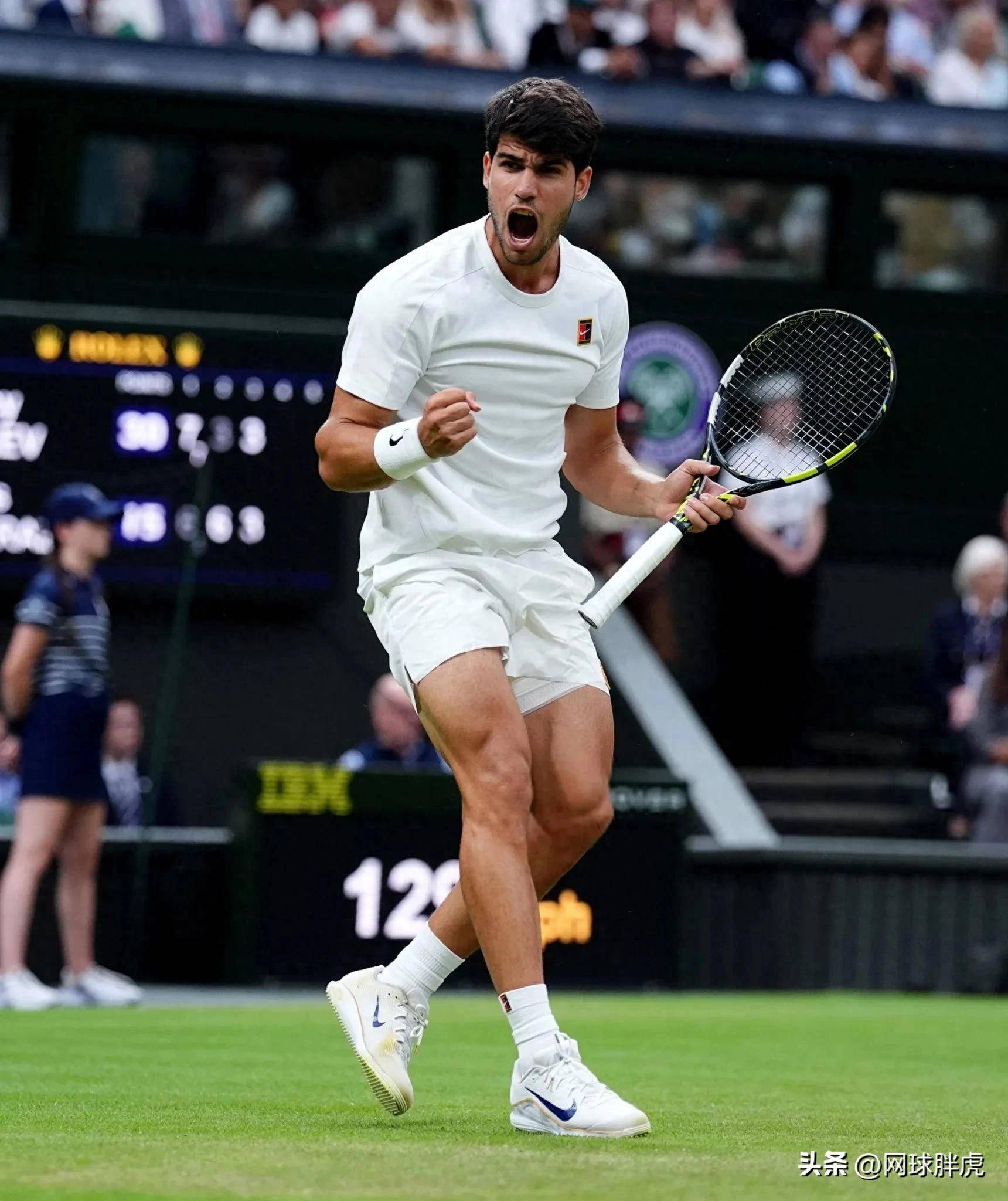 戴维斯杯绝杀温网,阿尔卡拉斯关键制胜的简单介绍 戴维斯杯绝杀温网,阿尔卡拉斯关键制胜的简单介绍