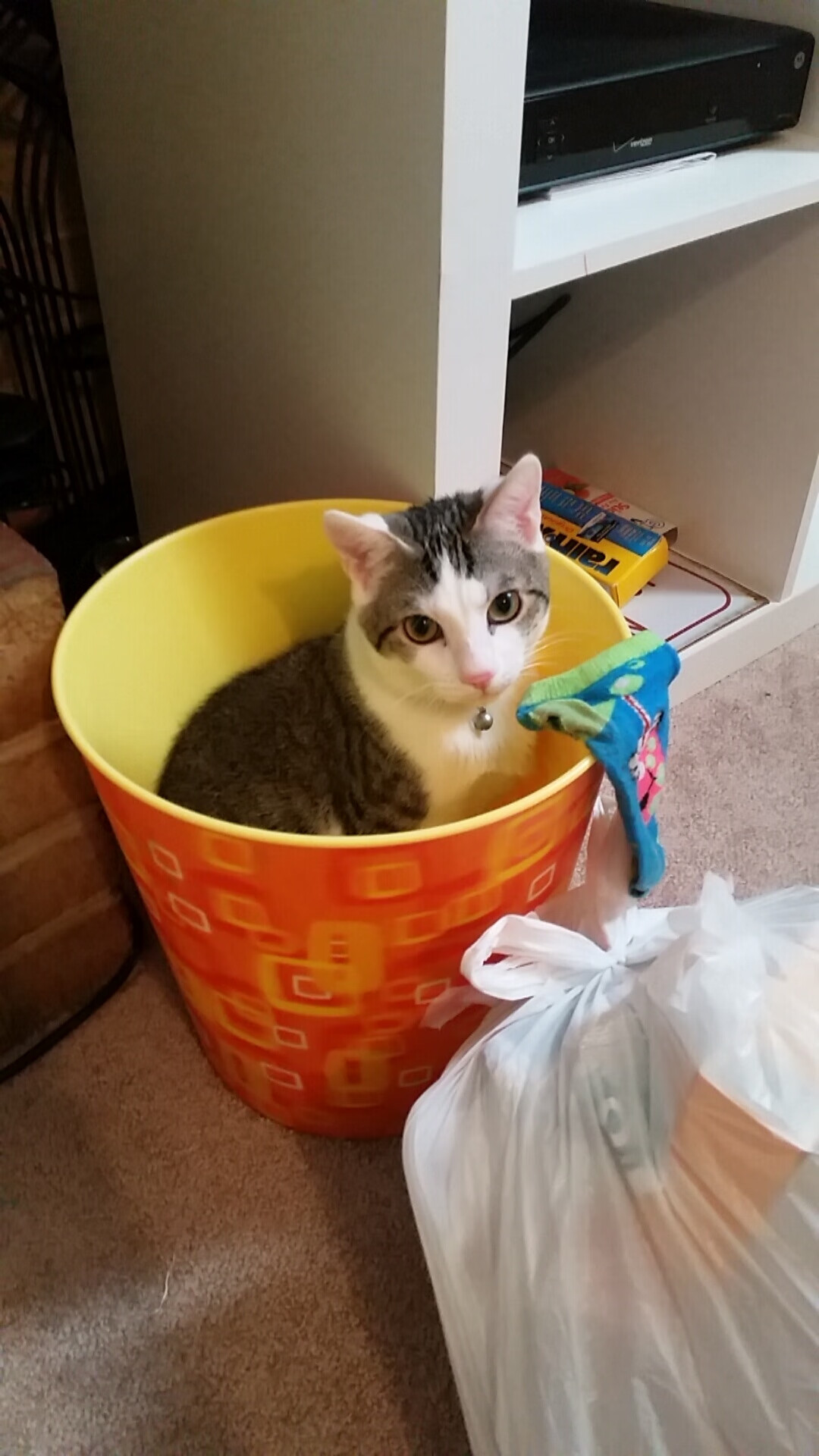 开云体育APP下载-唯一对决，拉齐奥与阿尔及利亚的慈善碰撞，奥斯梅恩星光闪耀全场