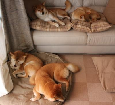 死神让步！杰伦·格林用勇士最熟悉的节奏，终结了勇士最熟悉的剧本