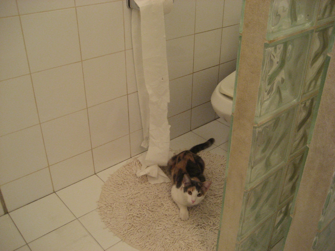 横跨太平洋的对决，哈利伯顿新王登基，东方霸主浙江力克高原铁骑爵士