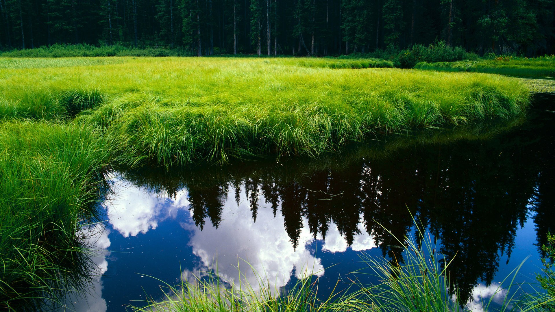 开云体育入口-风雪破蓝焰，当奥地利的坚冰冻结了亚特兰大的神话