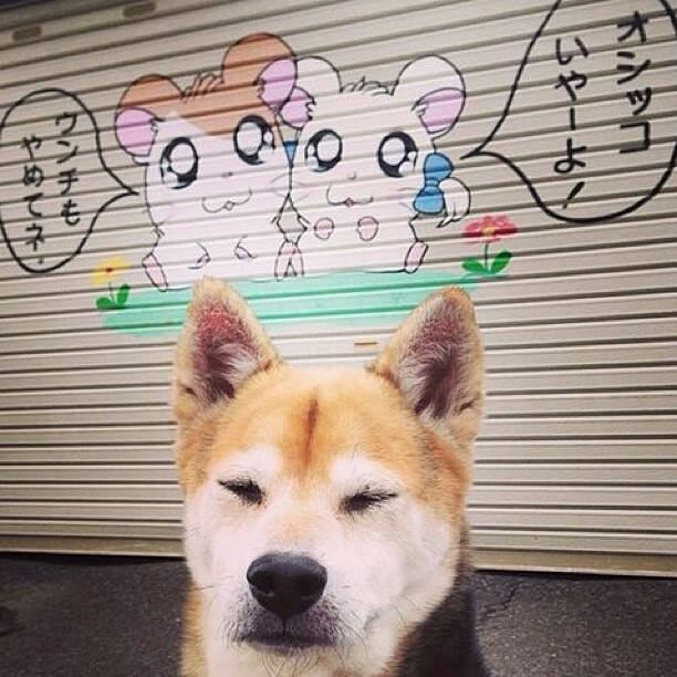 劳塔罗爆发引领阿根廷锋线，韩国淘汰赛过关启示，多特蒙德亚洲战略再成焦点