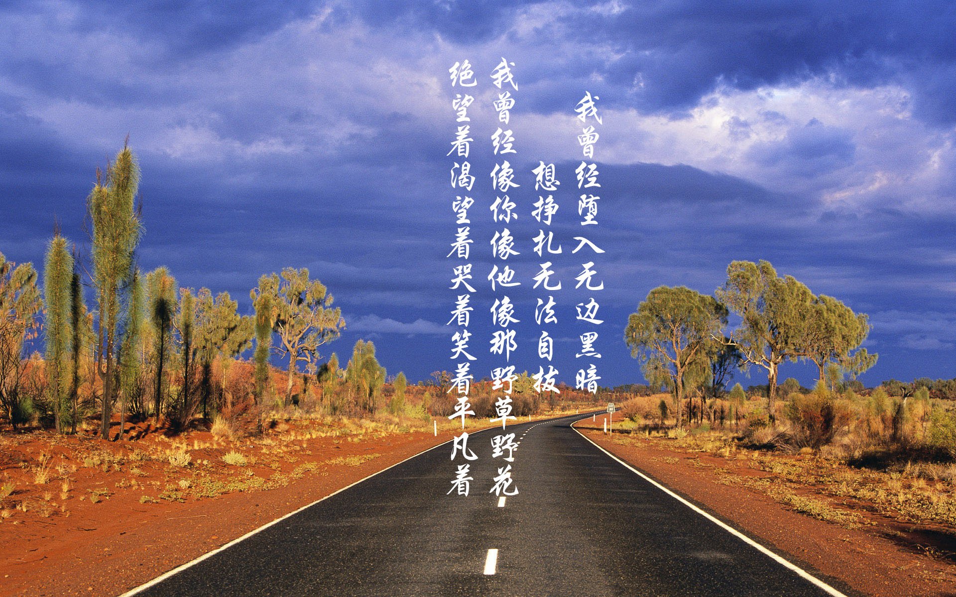 开云体育在线-双线烽火，从巴林赛道到塞维利亚战场，速度与荣耀的终极突围