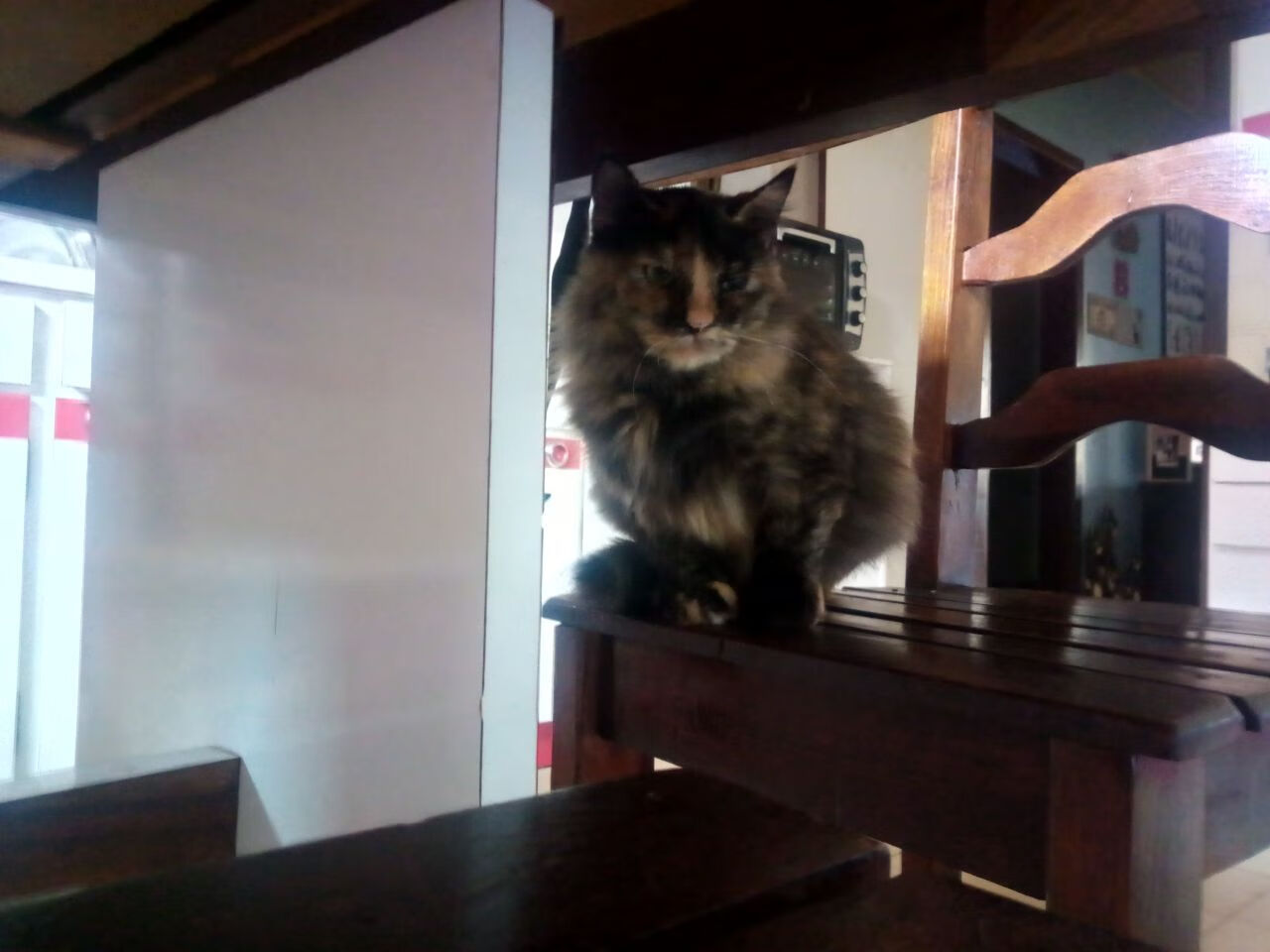 西甲国家德比之夜,贝林厄姆用粉碎与重构定义新时代