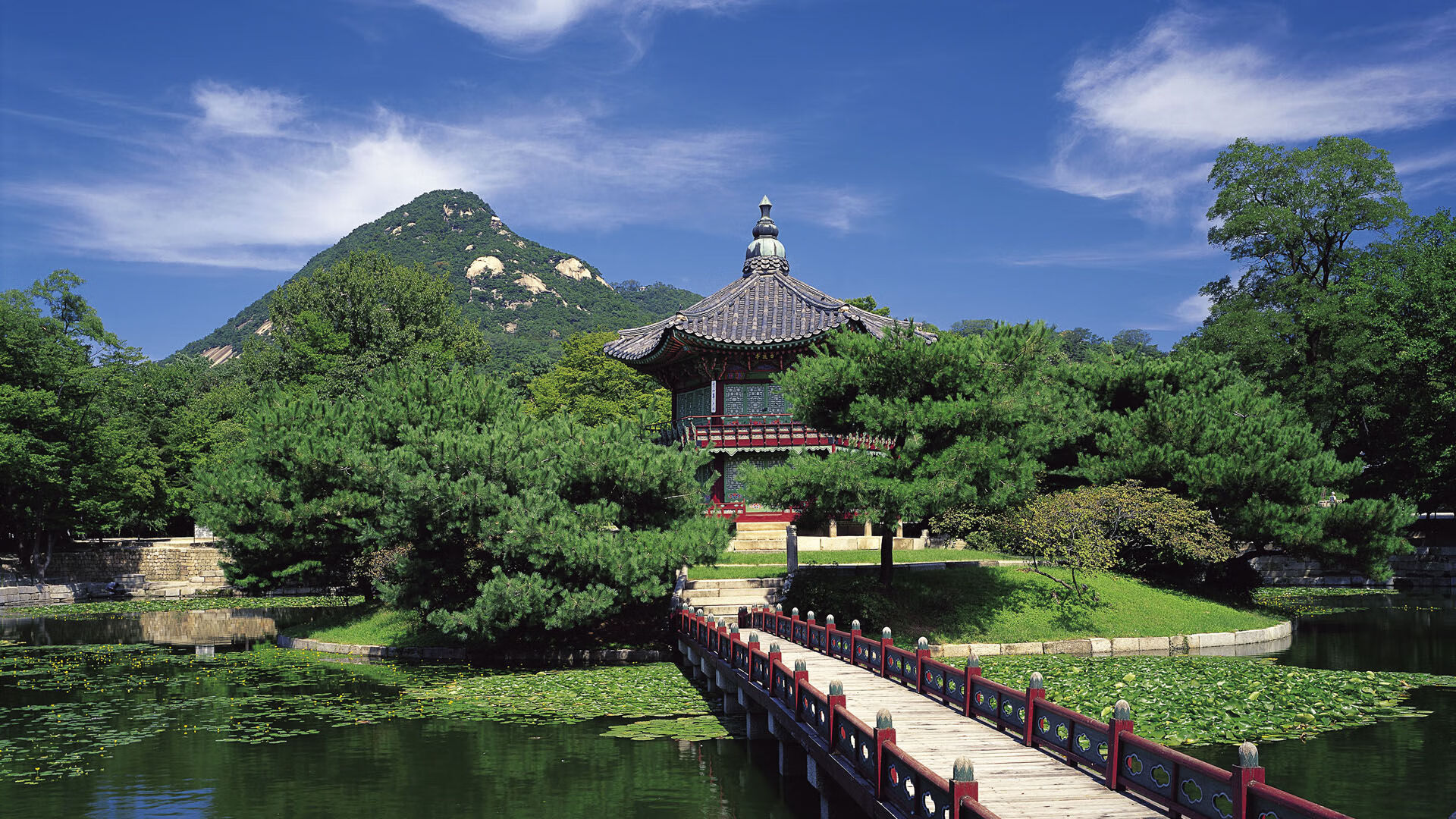 开云体育中国-奇才乱拳打死老师傅，霍勒迪末节17分掀翻西部头狼