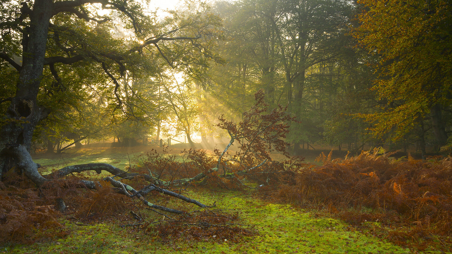 卡塔尔智能球场,佩德里用全息战术板掀翻国际米兰