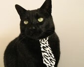 篮球世界的时空折叠，CBA新疆与西甲德比的双重奏