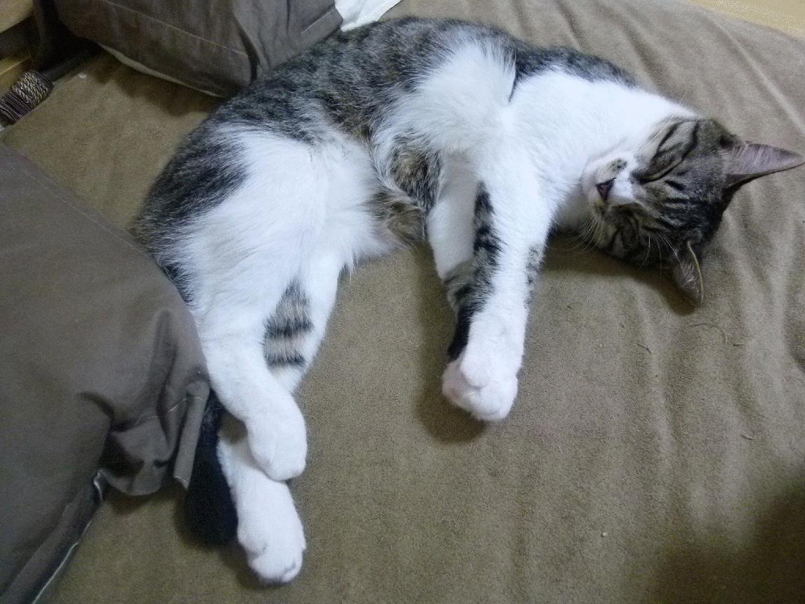 开云体育-跨界战神，乔治独舞天山脚下，一手掌控新疆与篮网的命运棋局