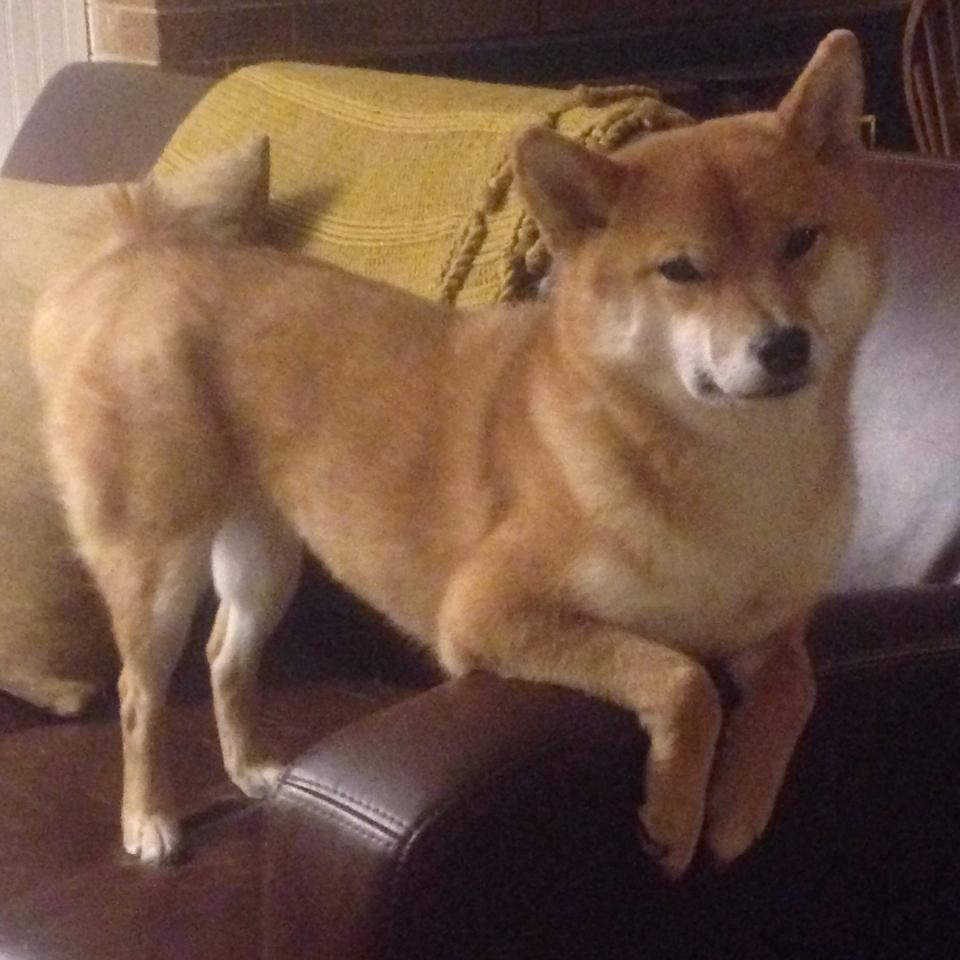 开云sport-时空裂隙中的抢七，当智利铁骑凿穿莱比锡红牛