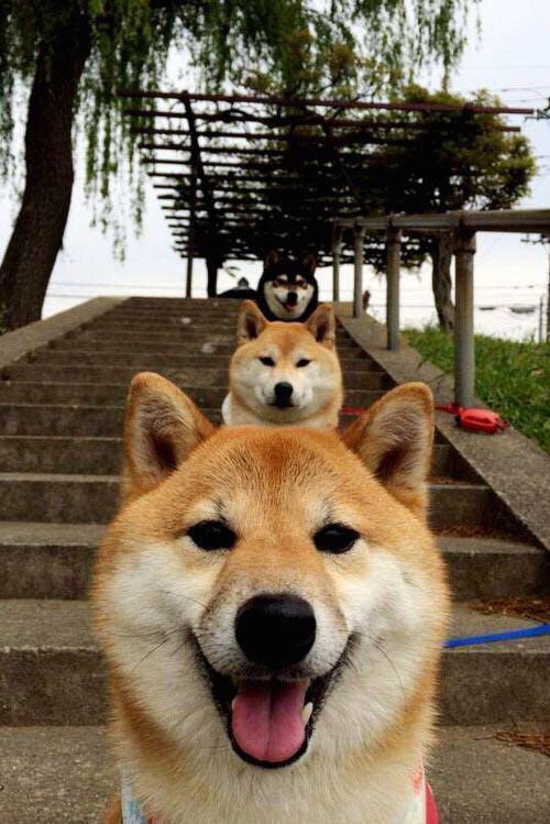 开云体育平台APP-南半球的逆袭，迪亚斯一锤定音，新西兰险胜北欧劲旅冰岛