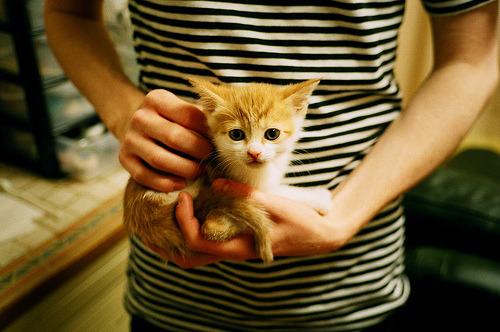 开云体育官网-威尔士硬战哥斯达黎加，孙兴慜如何诠释稳定输出不掉线？