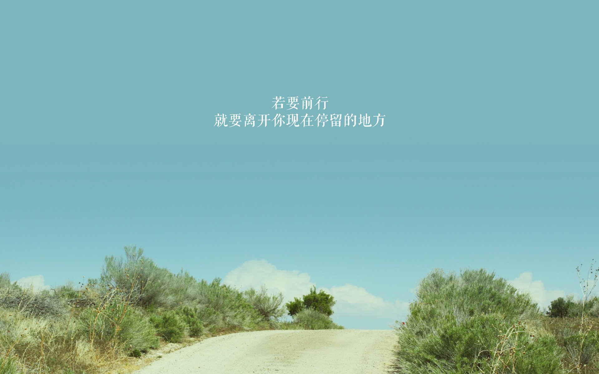 极速对决与团队胜利，F1街道赛焦点战与篮网完胜老鹰的竞技交响