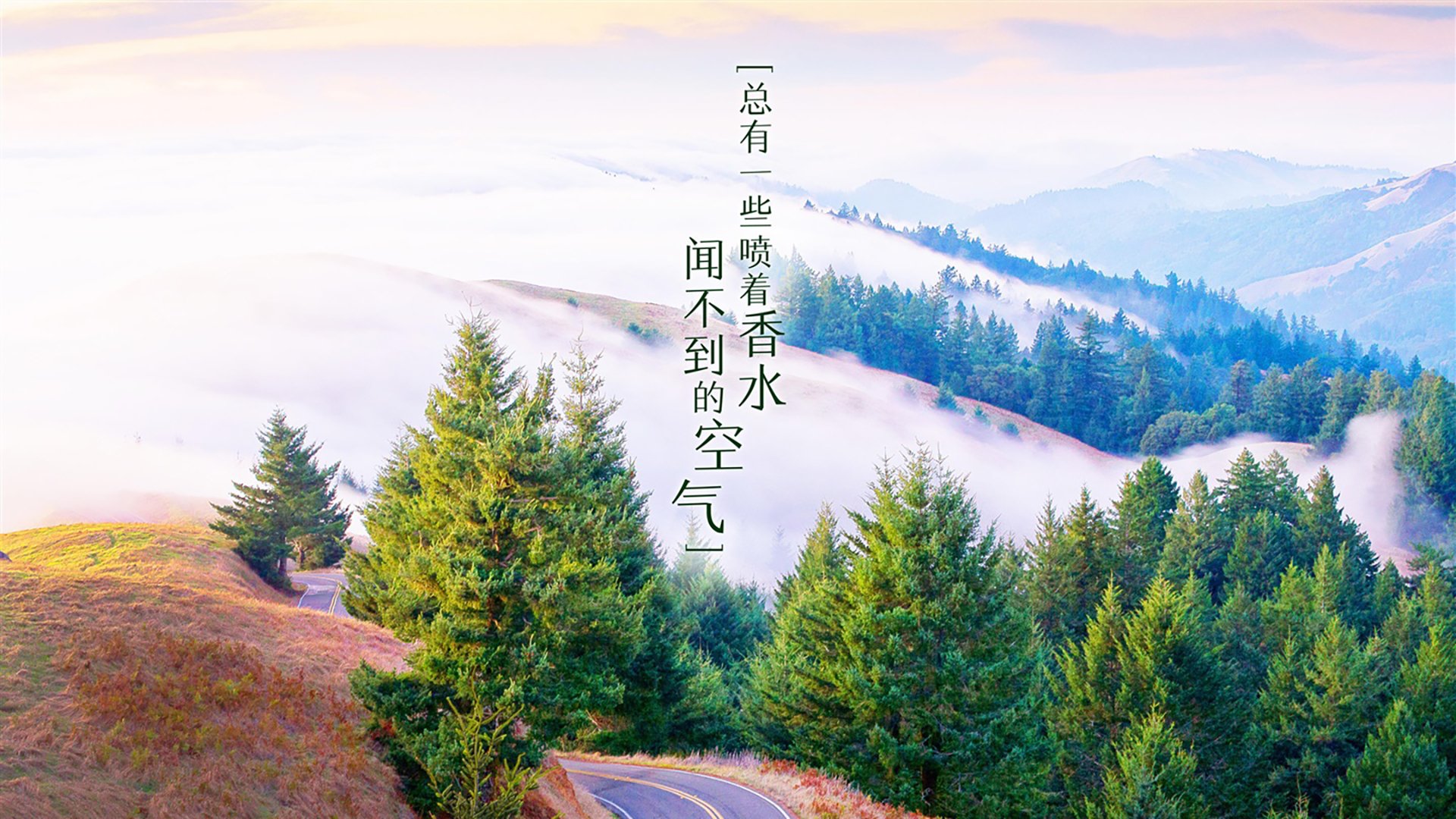 中场齿轮咬合，巨塔轰鸣，2026世界杯A组，墨西哥如何用卢卡库与中场控制碾碎印度奇迹？