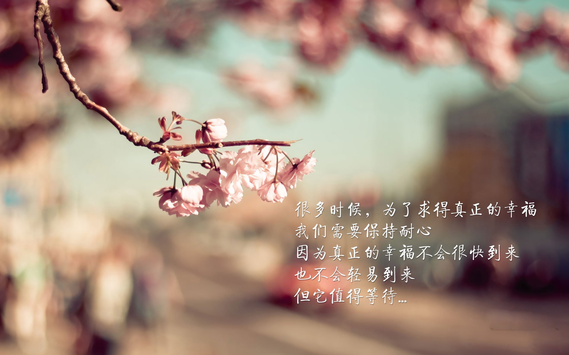 归化之王，蓝衣称雄，2026世界杯G组，C罗领衔日本防守反击，2-0完胜荷兰